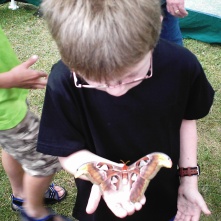 I play in the moth enclosure.